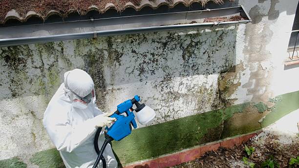 Trusted Commercial Mold Remediation service in Lansdale, PA - Cheap Mold Removal